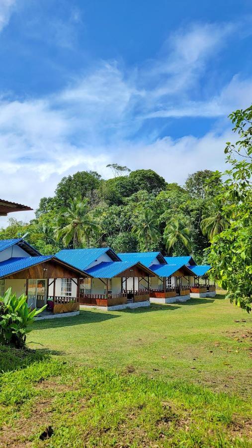Coco Loco Lodge El Valle  Extérieur photo